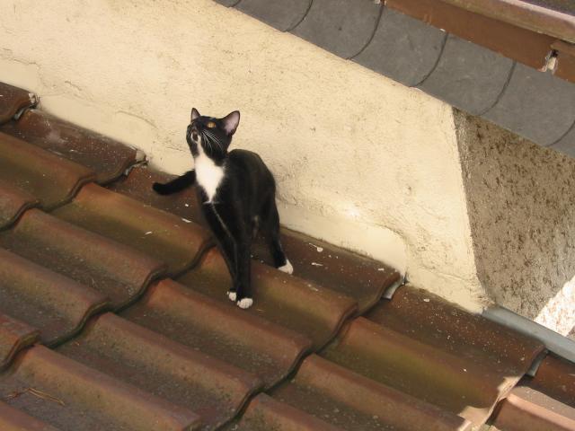 Bild 401