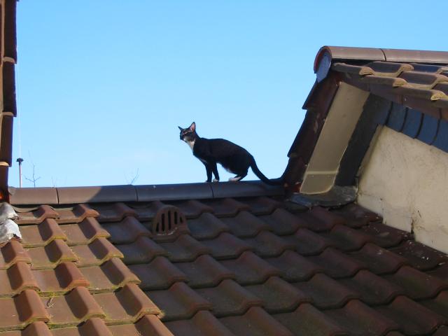 Bild 405
