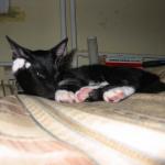 Bild 9794
