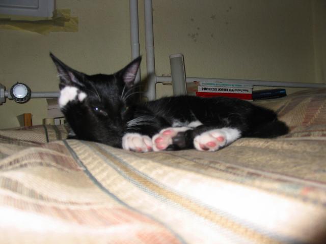 Bild 9794