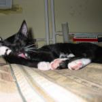 Bild 9795