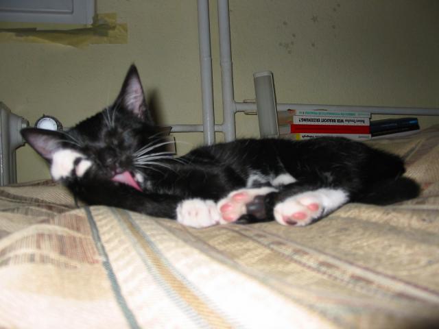 Bild 9795