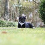 IMG_0121