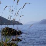 Scotland 2004